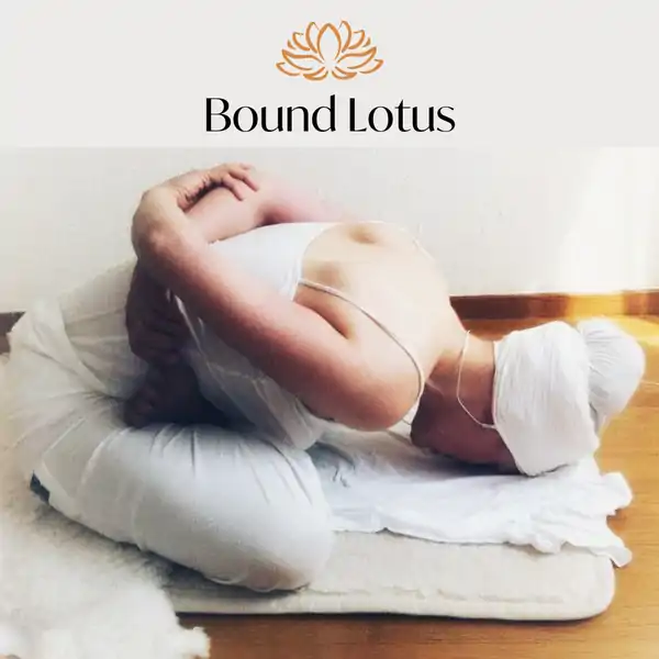 Bound Lotus