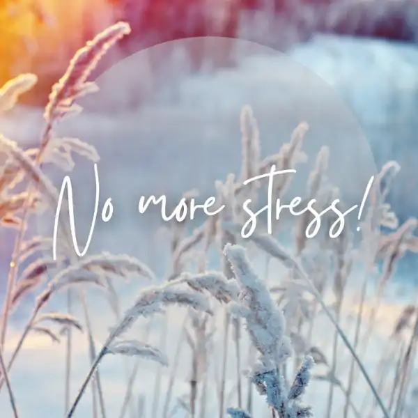 No more stress 16 och 19 januari via Zoom