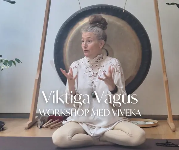 Viktiga Vagus med Viveka